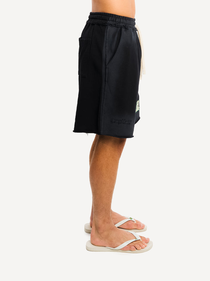 Another Vintage Patch Shorts — Washed Brown