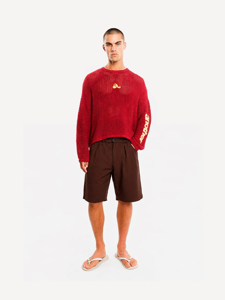 Ragazzi Pleated Shorts — Dark Brown