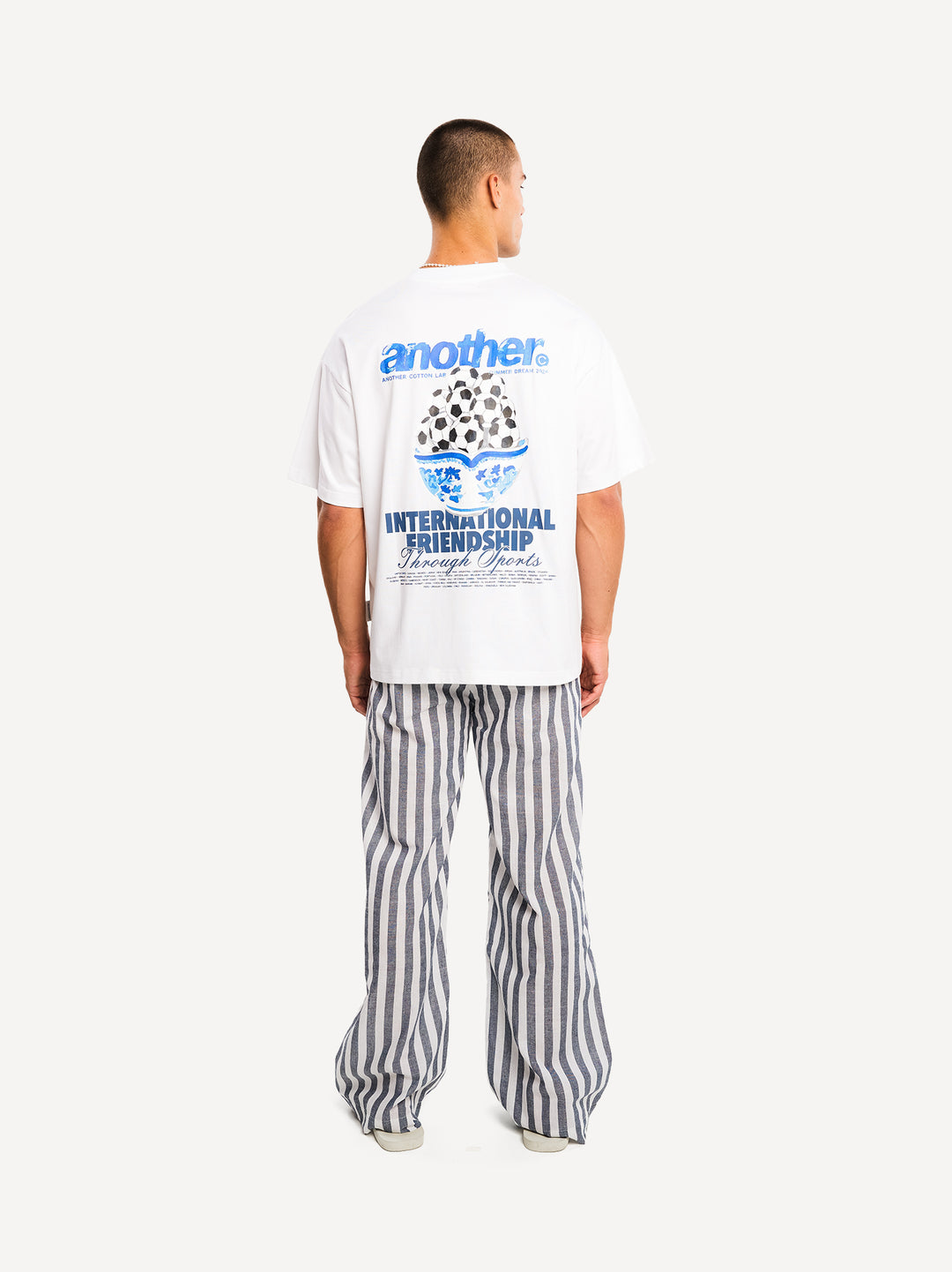The Wide Stripe Pant — Blue Striped