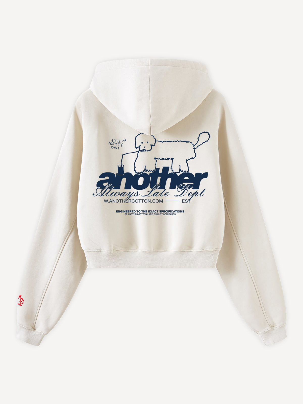 Still Pretty Cropped Hoodie – Off White