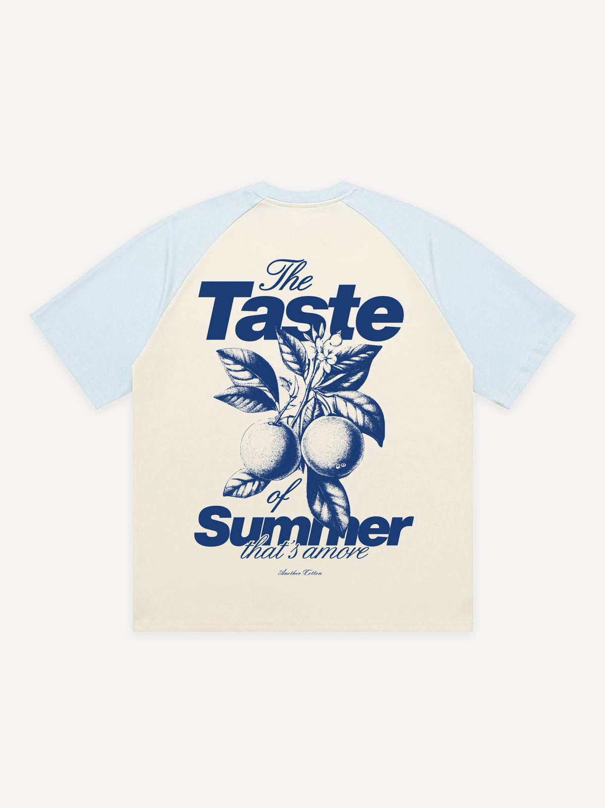 Taste Of Summer Oversized Raglan T-Shirt – Creme/Blue